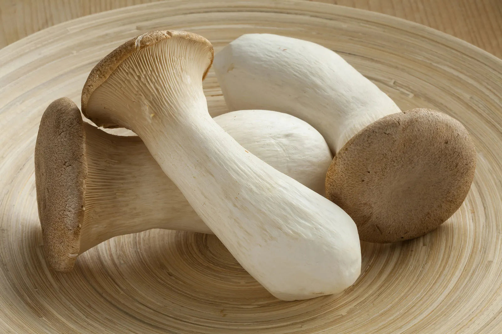 King Oyster Mushroom 🍄 (China)🇨🇳